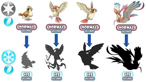 pidgey pokemon evolution.